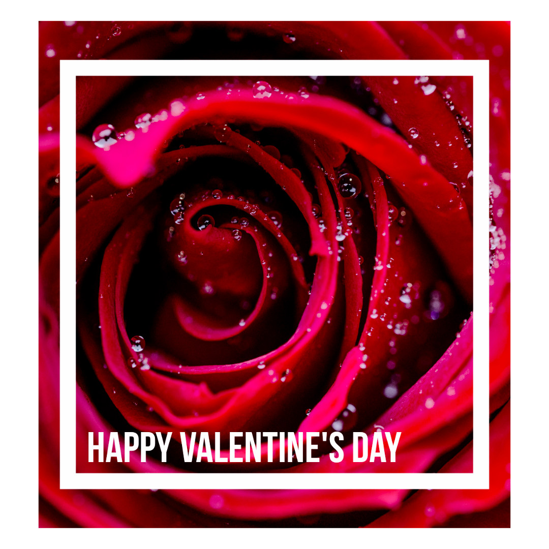 Untitled (6).png (1.30 MB)